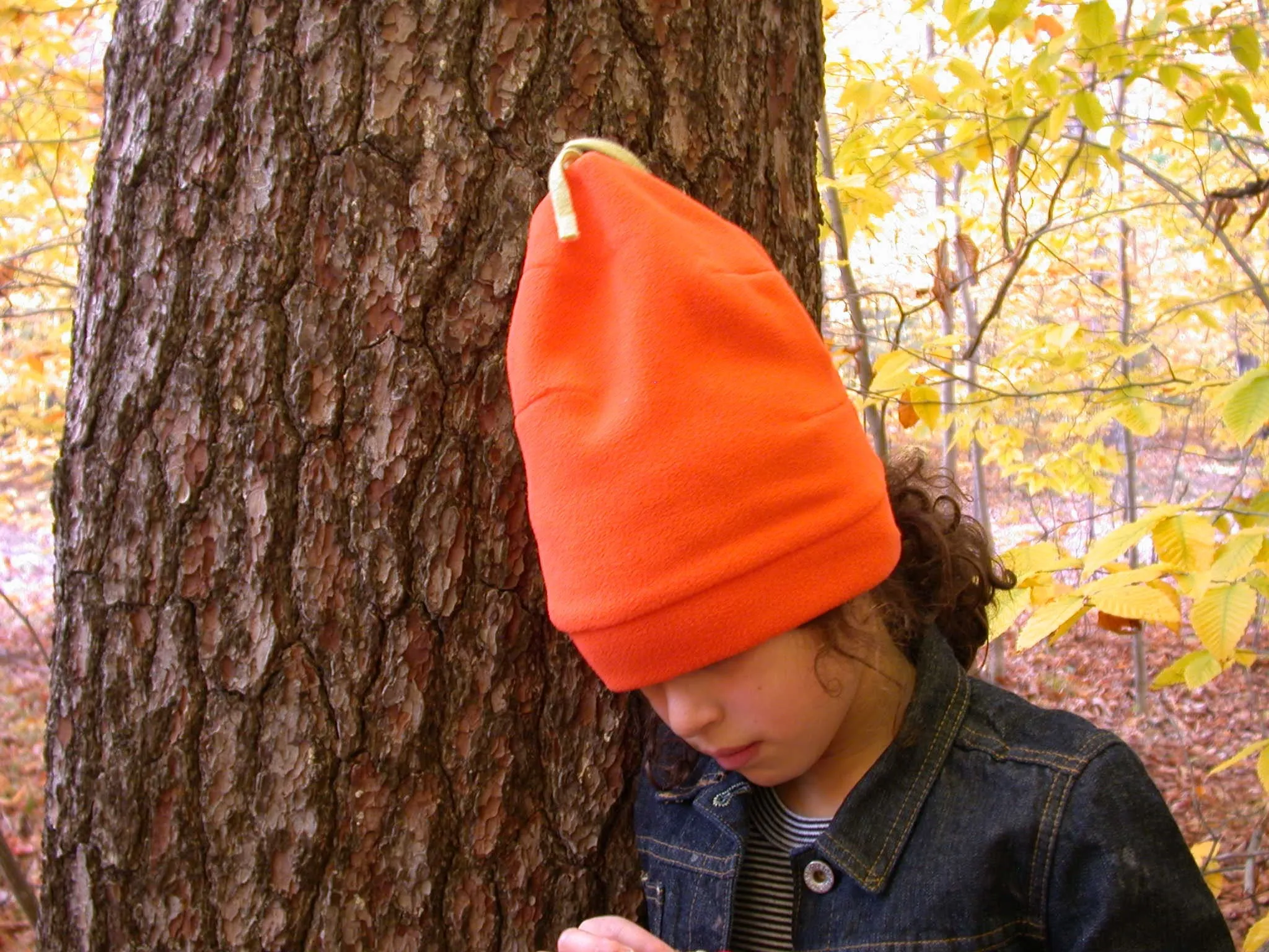 Beanie Pod Collection